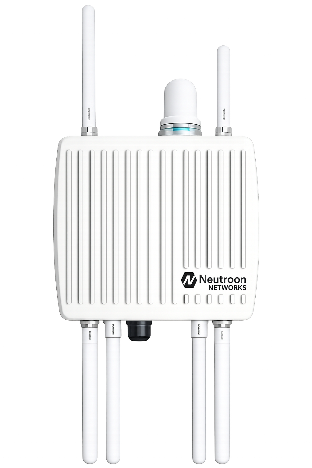 Neutroon Watchdog outdoor rugged probe